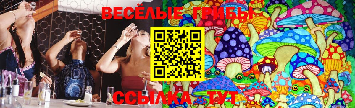 Галлюциногенные грибы Psilocybine cubensis Арзамас