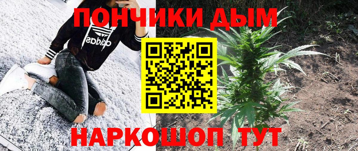 МАРИХУАНА планчик  Бошки марихуана ГИДРОПОН  МАРИХУАНА гибрид  Конопля Bruce Banner  Вход с VPN  Арзамас 